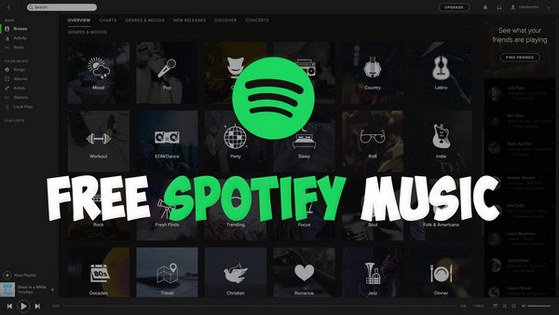 Spotify Mod Apk Revdl